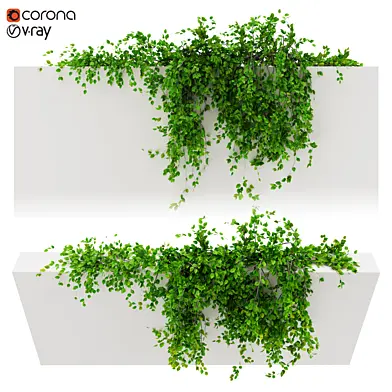 Hanging plant_4