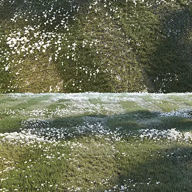 Grass set 01