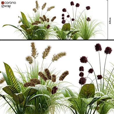 Plant_set