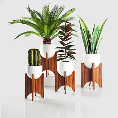 plant collection 06