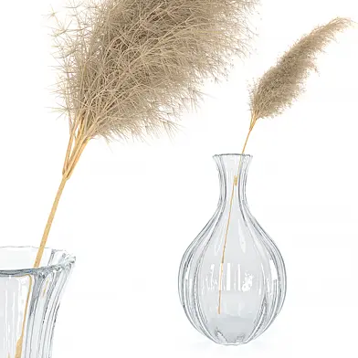 pampas_vase01