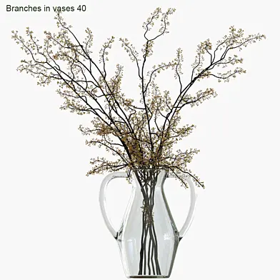 Branches in vases 40