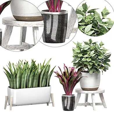 INTERIOR FLOWER PACK 46