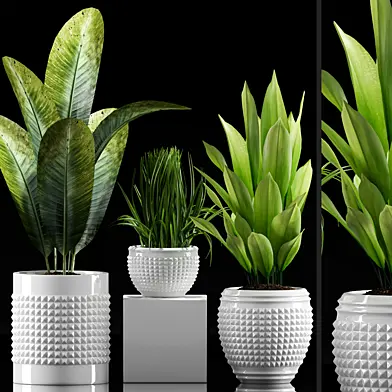 Plants 214