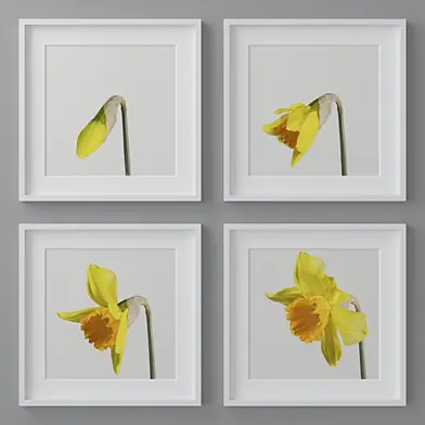 Photo Frames Set 233