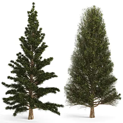 Set of two pines