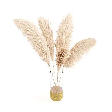 bouquet of pampas vol.01