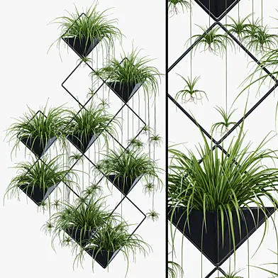 Ikebana one