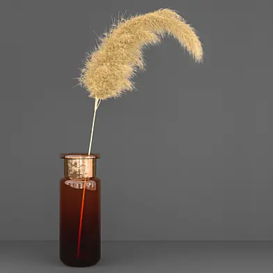 pampas 003