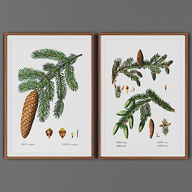 Picture frame set 00041-25