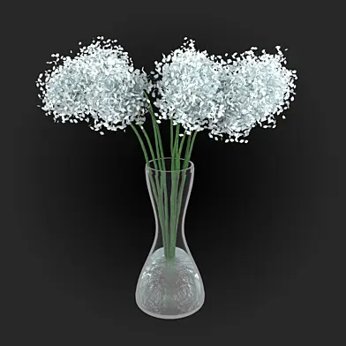 Chrysanthemum white flower