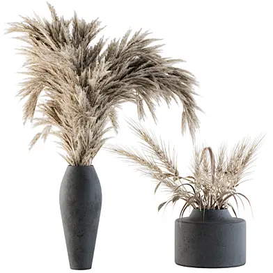 Dry plants 04
