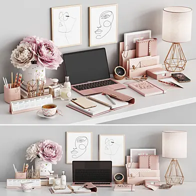 Workplace set WT 02 Rose