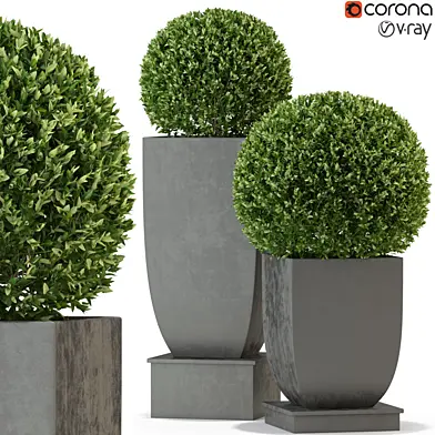 Plants collection 328