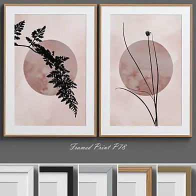Framed Print P-78
