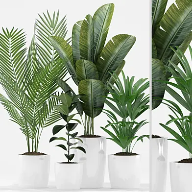 Plants 218