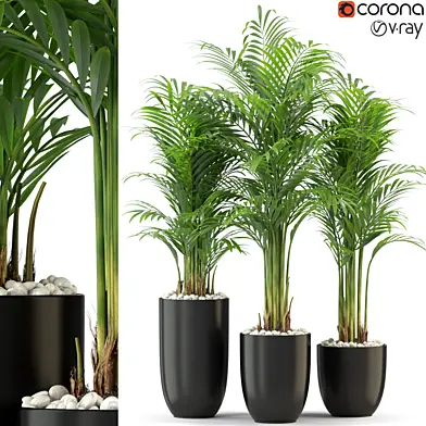 Plants collection 333