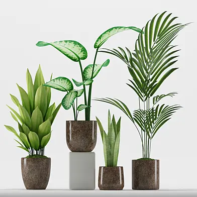 Plants 227