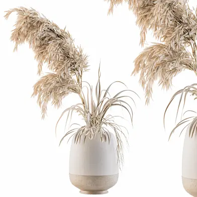 Dry plants 21