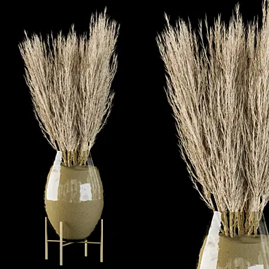 Dry plants 16