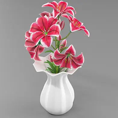 Lily pink tiger