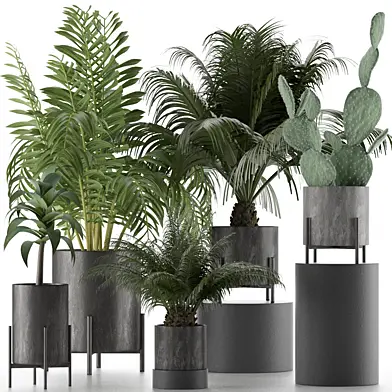 Plants Collection 28
