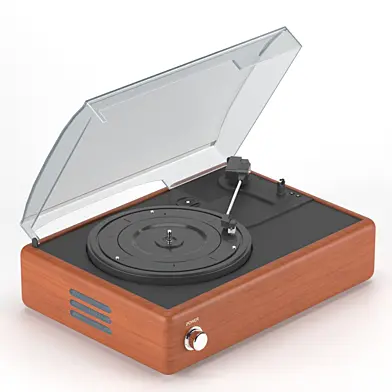 Vinyl record