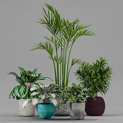 Collection of plants