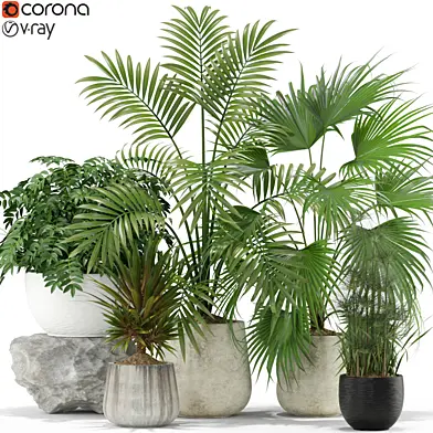 Plants collection 353