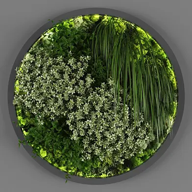 Vertical garden 105