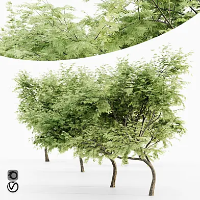 Hook Thorn