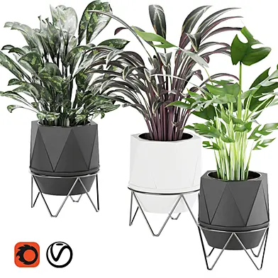 Collection plant vol 3