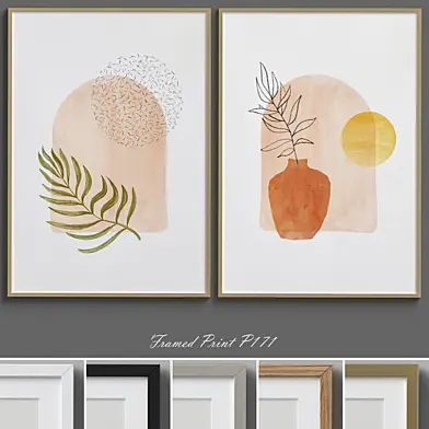 Framed Print P-171
