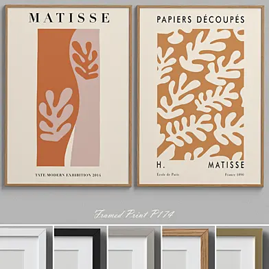 Framed Print P-174