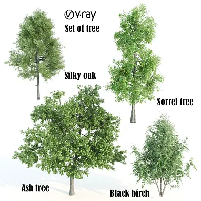 set of tree 09 vray