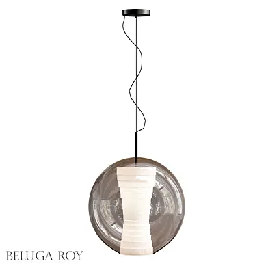 BELUGA_ROY