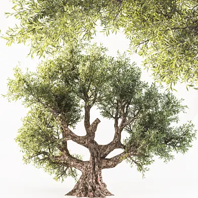 tree02