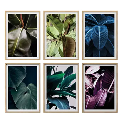 Ficus Poster