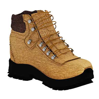 Shoe