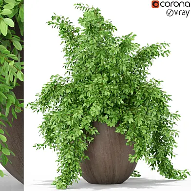 Plants collection 391