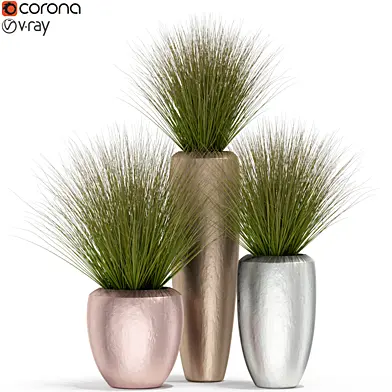 Plants collection 396