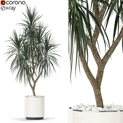 Plants collection 397