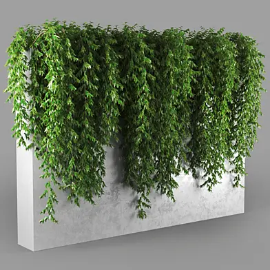 plant706
