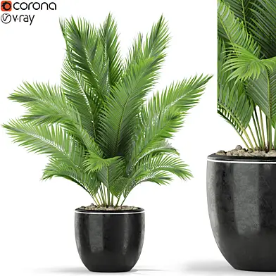 Plants collection 402