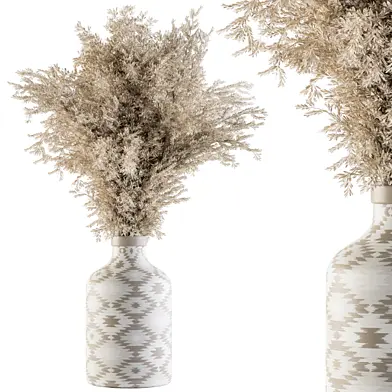 Dry plants 40 - Dried Plant Pampas