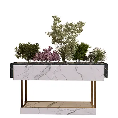 plants in box set 15