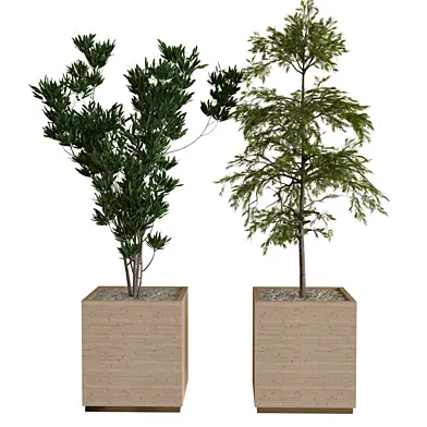 tree in box set 17