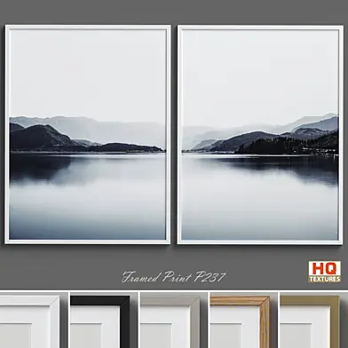 Framed Print P-237
