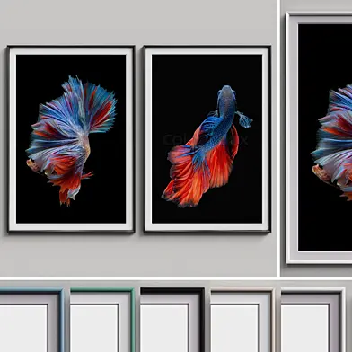 Nice Picture Frames Set 189