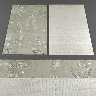 Rugs collection 244